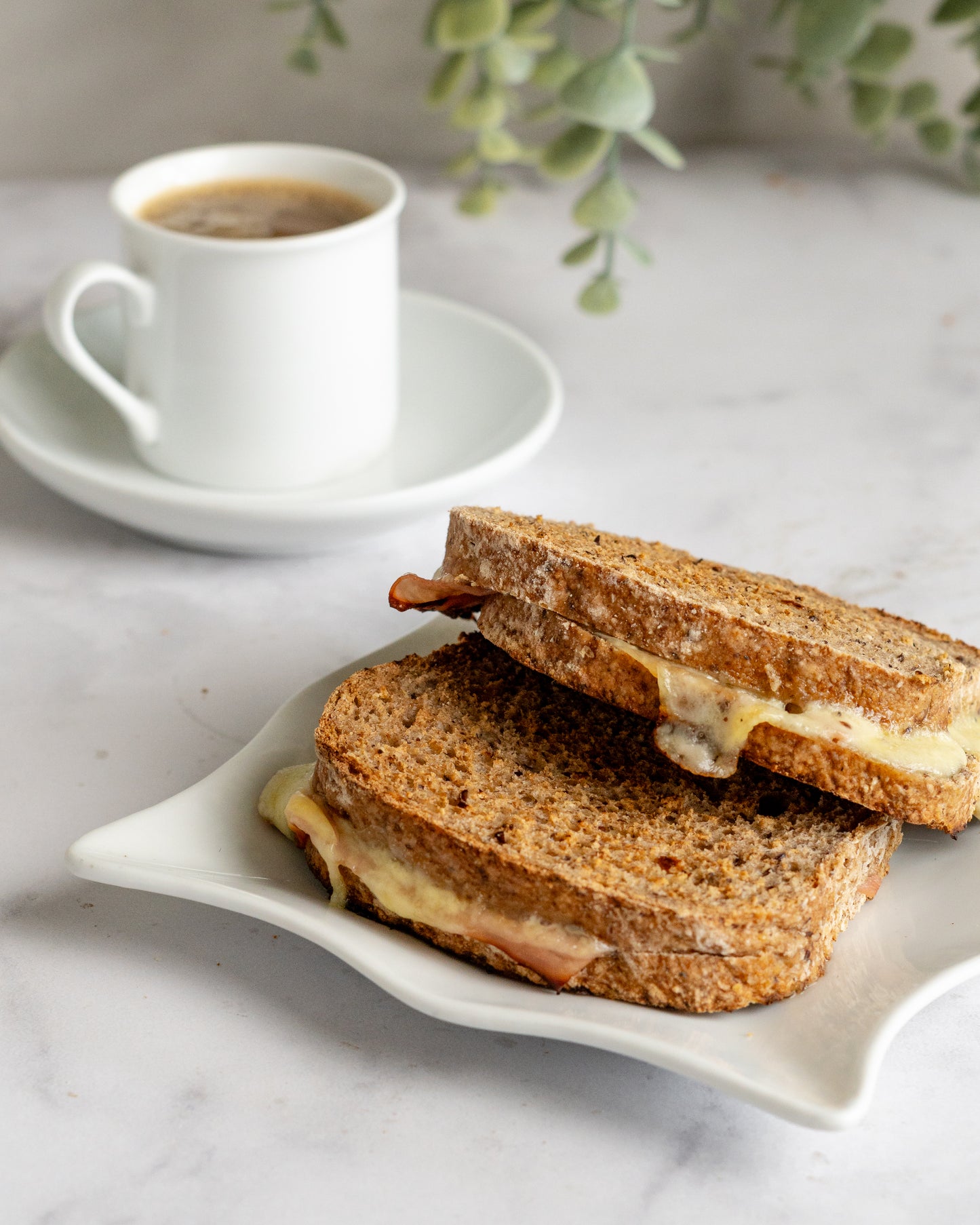 Tostado De Jamón Y Queso Gf